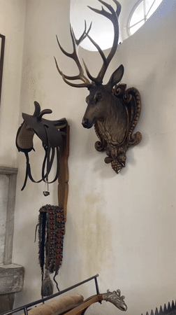 Visitor documents historical hunting and carriage displays in Sigmaringen