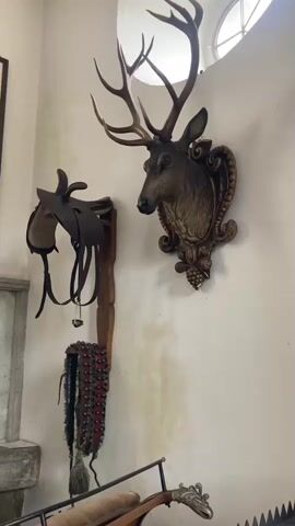 The video shows a room with old hunting-themed decorations.  A taxidermied deer head is mounted on a white wall, along with a brown saddle and ornamented harness. A framed collection of metal hook-shaped items is on the wall next to a stone fireplace. A window with gridded panes allows natural light into the room. A long gun with an ornate handle sits on the floor in front of the wall display.