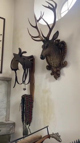 Visitor documents historical hunting and carriage displays in Sigmaringen