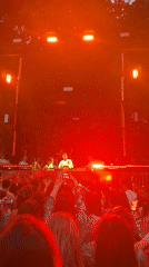 DJ performance draws crowds at outdoor Budapest festival