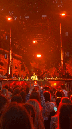 DJ performance draws crowds at outdoor Budapest festival