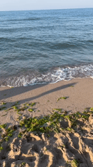 Golden hour on a quiet Black Sea beach in Lozenets