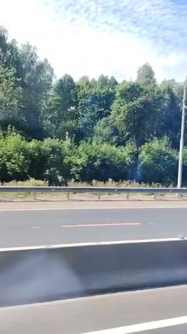 The video shows a side view of a highway with lush green trees on the left side. The sky is blue with white clouds. A white truck with a green bin on the back drives past on the highway. There is a lamppost visible on the side of the road. The camera appears to be moving, suggesting the video was recorded from another moving vehicle.