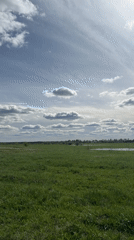 Women take selfies in Russian countryside under cloudy skies