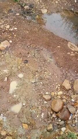 The video shows a shallow stream or creek bed with water flowing over rocks and pebbles. The ground is a mix of soil, small rocks, and larger stones. Some green grass grows along the edges. The water appears clear. No people or animals are visible.