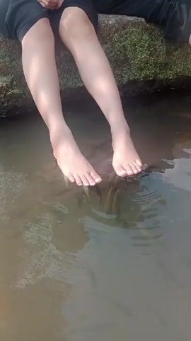 A video shows a person's bare feet and lower legs dangling in shallow, murky water. Small fish are visible swimming around the person's feet. The person is sitting on a moss-covered rock or embankment.