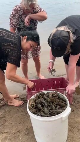 The video shows three people on a sandy shore next to a body of water. In the foreground, a white bucket is filled with numerous live crayfish. A pink plastic crate, also containing crayfish, is positioned between the bucket and the water. A woman in a black lace top and a black skirt is bending over the crate, reaching into it with her right hand. To her left, another woman wearing a patterned dress and sunglasses is also bending over the crate. To the right, a person wearing a black t-shirt and a black baseball cap is reaching towards the crate with their right hand, holding a live crayfish. The water is visible at the bottom of the frame, with small waves lapping at the shore. The overall scene suggests a crayfish catch or harvest.