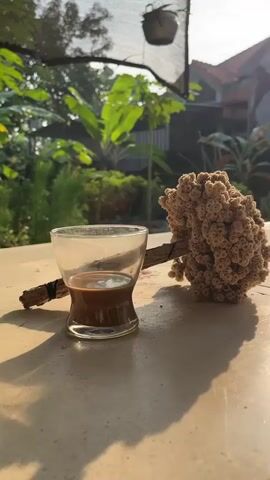 A close-up shot shows a small glass of coffee on a table. A dried flower, bound to a stick, rests next to the glass. In the background, lush green foliage and a house are visible under bright sunlight. The scene appears to be an outdoor setting, possibly a patio or garden, during the daytime. There are no people or animals in the frame, and no discernible actions are taking place.