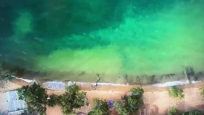 This is an aerial drone footage of a beach scene. The subjects are two people in the water and several people on the sandy beach. There are also trees, umbrellas, and some structures on the beach. The scene is set at a tropical or subtropical beach with clear, turquoise water and golden sand. The activity taking place appears to be recreation, with people swimming or wading in the ocean and relaxing on the shore.

Notable details include the time of day, which appears to be daytime, given the bright sunlight casting shadows. The weather seems to be fair and sunny. The location cues suggest a warm climate with lush green trees. There are no visible text overlays or annotations in the footage. The overall mood is relaxed and peaceful, suggesting a leisurely day at the beach.