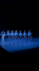 Swan Lake ballet performance documented in Tbilisi auditorium