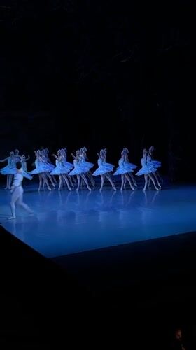 Swan Lake ballet performance documented in Tbilisi auditorium