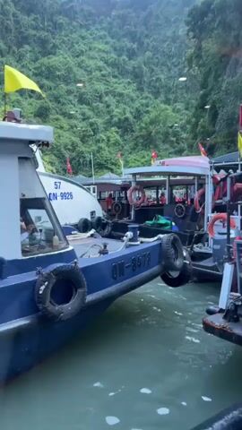 The video shows a view of several boats docked together in a body of water. The boats are carrying Vietnamese flags. On one of the boats, a person wearing headphones is lying down. Life vests are visible on the boats. In the background, a rocky cliff covered in green vegetation rises from the water. The sky appears overcast. The water is choppy.