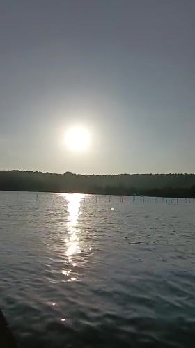 Sunny riverside moment captured in Oxel, India