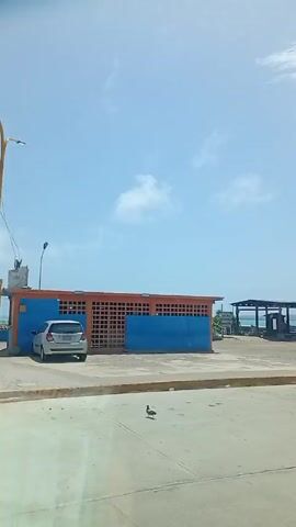 From a vehicle moving along a road next to a beachside area, the camera captures a tranquil, mostly empty scene. There's a blue building with orange accents next to a small shelter structure. Nearby is a larger, white, tunnel-like structure by the beach with blue accents. Several palm trees are whipping in the wind on the side of the road and across the way next to the beach. The day is sunny with a few white clouds in the blue sky, and birds are visible flying overhead. The only visible action is the camera's movement down the road and the trees blowing in the wind.