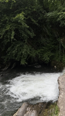 Witness documents waterfalls, streams, flowers in unknown green landscape