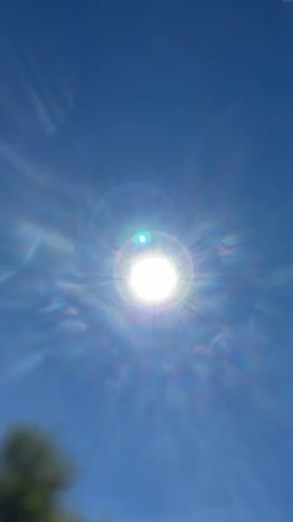 A vertical, close-up video captures the sun against a clear blue sky. The sun is a bright white orb at the center of the frame, radiating light in all directions, creating a starburst effect. The light from the sun produces lens flare, with circular and radial patterns of colored light, including blues, purples, and greens, scattered across the sky. Some of these flares are blurred and streaky, suggesting movement or a slight shake of the camera. In the lower left corner, a blurred green object, possibly foliage or a tree, is partially visible. The overall impression is of a very bright, sunny day, with the sun prominently featured.
