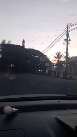 The video shows a first-person view from inside a car. The car is on a paved road lined with trees and some buildings. The sky is a pale blue with some clouds, suggesting it is either sunrise or sunset. There are power lines visible in the sky. On the left side of the road, there is a tall, slender structure that appears to be a minaret. On the right side, there are buildings and palm trees. There are a few vehicles on the road, including a motorcycle in the distance and a red truck. The trees on the left are large and dense, creating a dark canopy. The camera is shaky, indicating the car is in motion.
