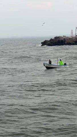 A small motorboat with two men on board navigates choppy grey water in Ciudad Madero, Mexico. One man, wearing a dark shirt, sits towards the front of the boat, while the other, wearing a bright fluorescent yellow-green rain jacket, stands at the stern, operating the outboard motor. Indistinct text is visible on the side of the boat. In the background, a breakwater constructed of large concrete blocks extends into the water. Two white structures, possibly small navigational aids or lighthouses, stand on the breakwater. The sky is overcast and grey. Several birds are seen flying in the distance above the water and near the breakwater. The boat moves from left to right across the frame, leaving a small wake behind it.