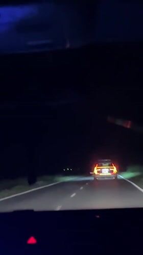 Red-yellow lit vehicle spotted on dark road near Lozarevo