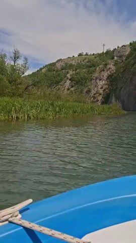 The video shows a low-angle view from a blue and white boat moving on a river or lake. The water has ripples and a slightly greenish tint.  The focus is on the shoreline to the left of the boat. Tall green reeds grow along the edge of the water, with trees and other greenery behind them. A rocky hill or cliff with sparse vegetation is visible in the background, under a partly cloudy sky. A utility pole stands on top of the hill. The boat moves forward, and the shoreline slowly passes by.