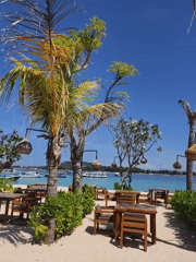 Beachside restaurant with wooden tables, bicycles observed in Indonesia