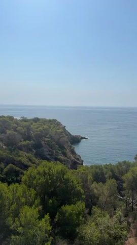 The video shows a panoramic view of a coastline with lush green trees and the vast blue ocean under a clear sky. The camera pans from left to right, revealing the rugged landscape and the water. The sun is shining brightly, casting a warm glow on the scene. There are no people or objects visible in the video, only the natural beauty of the environment. The sound of gentle waves and birds chirping can be heard in the background, adding to the serene ambiance of the scene.
