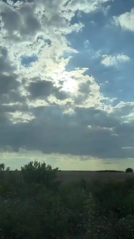 This video captures a view of a bright, sunny sky with scattered clouds. The sun is shining through the clouds, creating a luminous effect. The foreground is dominated by green foliage and branches of trees, some of which are bare and skeletal, creating a contrast with the lush greenery. The scene appears to be a natural outdoor setting, possibly a rural landscape, with hints of fields in the distance. The light suggests it is daytime, with the sun at a moderately high position in the sky. The overall mood is serene and perhaps a bit dramatic due to the interplay of light and shadow. There is no visible text in the video. The location context indicates Chargan, Bulgaria, suggesting a European landscape. The camera appears to be moving, possibly from within a vehicle, as indicated by the slight motion blur and the perspective.
