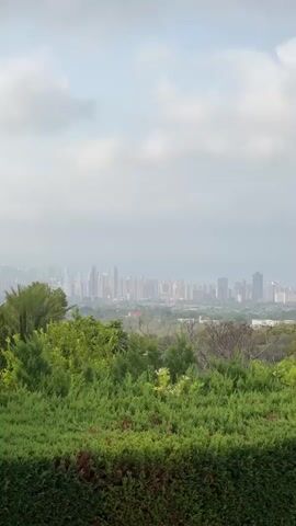 A static, medium shot captures a hazy cityscape in the distance, framed by lush green foliage in the foreground. The sky is overcast with scattered clouds. The cityscape appears to be a mix of modern skyscrapers and lower buildings. The foliage consists of dense bushes and trees, some with bare branches. No people or animals are visible.