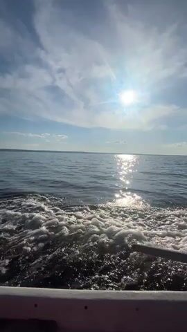 The video captures a serene scene from a boat moving across a body of water, likely a lake or large river, given the calm surface and distant treeline. The sun, positioned high in the sky with a slight glare, suggests it is mid-day. The sky is a vibrant blue, dotted with scattered white clouds, indicating fair weather. The water is a deep blue, rippled by the boat's wake, which churns into white foam as it trails behind.

The perspective is from the rear of the boat, looking towards the horizon. The edge of the boat, with a white railing and wooden planks, is visible in the foreground, suggesting a leisurely outing or transportation across the water. A dark, rectangular object, possibly a storage bin or cage, is situated on the right side of the boat. The distant shoreline is lined with trees, creating a dark, blurred silhouette against the bright sky and water.

The overall mood is peaceful and tranquil, evoking a sense of calm and relaxation. The bright sunlight and open water suggest a pleasant outdoor experience. No people are visible in the frame, and there is no visible text in the media. The location context provided indicates Siukterka, Russia, which aligns with the natural landscape depicted.
