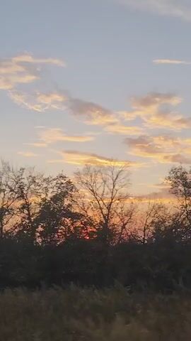 A nature scene shows trees silhouetted against a sunset. The sky is blue with streaks of orange and yellow clouds. The sun is a bright orange glow peeking through the branches of the trees. The foreground is dark and blurry, with some hints of green foliage.