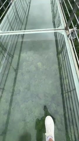 The video shows a first-person perspective of someone walking on a glass-bottomed suspension bridge. The camera is pointed downwards, showing the person's white sneaker and leg as they walk across the transparent surface. Through the glass, lush green foliage and trees are visible below, suggesting the bridge is suspended over a natural landscape. The bridge itself has metal railings on either side, and the view extends to a distant pylon and more of the bridge stretching into the distance. In the far distance, two figures can be seen standing on the bridge. The sky appears overcast.