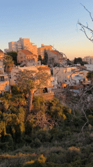 Golden hour sunset illuminates Haifa's hillside residential district