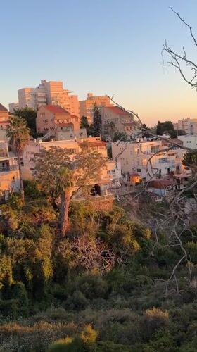 Golden hour sunset illuminates Haifa's hillside residential district