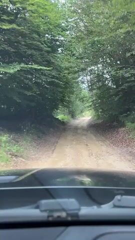 This media file captures a first-person perspective of driving on a dirt road through a lush green forest. The scene is dominated by dense foliage and tall trees lining both sides of the path, creating a tunnel-like effect. Sunlight filters through the leaves, dappling the road ahead. The road itself appears somewhat uneven and possibly damp, indicating it might be a trail for off-road vehicles.

The view is framed by the dashboard and windshield of a vehicle, with the hood visible in the foreground. The focus is on the path stretching forward, which appears to curve gently into the distance. The overall impression is one of exploring a natural, remote environment.

The time of day appears to be daytime, given the ambient light. The weather seems to be overcast or possibly after rain, judging by the potential dampness of the road and the diffused light. The location is identified as Bukovo, Bulgaria, suggesting a rural or wilderness setting within that region. No people are visible in the media. The activity is clearly driving or traveling along the forest road. There is no visible text within the media file. The mood evoked is one of tranquility and perhaps adventure, as one ventures deeper into the natural landscape.