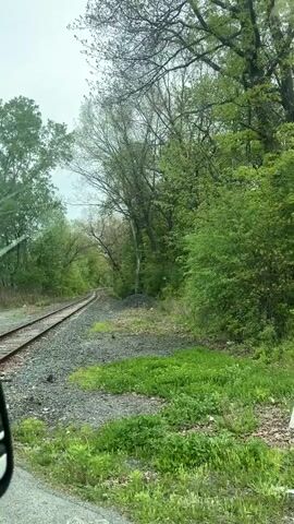 The video shows a view from a vehicle approaching a railroad crossing. The railroad tracks curve into the distance, flanked by trees on both sides. The crossing is marked by a sign and flashing lights. The lights are not active in the video. The trees are in full green foliage, suggesting the time of year is spring or summer. The sky is overcast. The surrounding area appears to be rural.