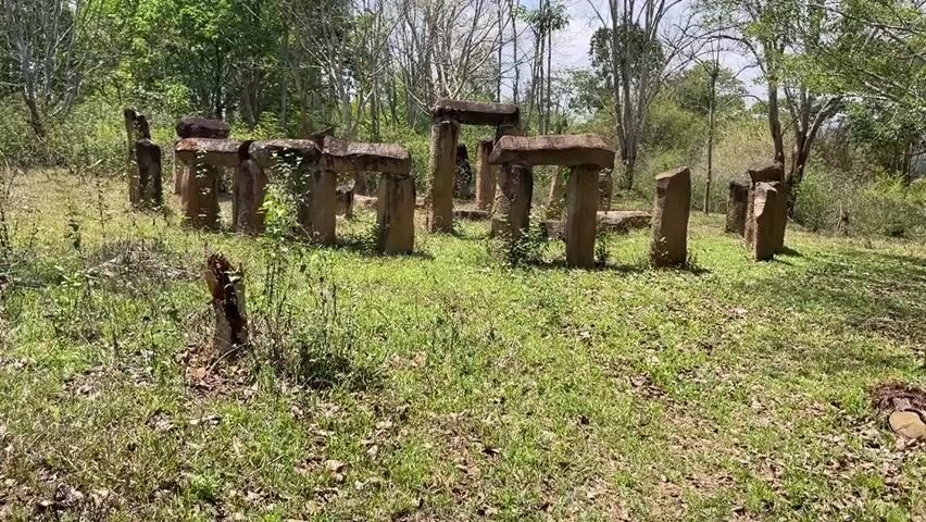 The video shows a collection of stone structures in a grassy area, partially surrounded by trees. The structures resemble small, stone archways, with upright pillars supporting horizontal slabs. The area is overgrown with grass and small plants, and there are fallen leaves scattered around.  The scene is peaceful and static.  The sky is visible in the background.