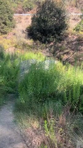 A first-person perspective video shows a path leading to a small arched footbridge. The bridge is made of wood planks with metal railings. It spans a dry creek bed or ditch that is overgrown with tall green plants. The surrounding environment is a wooded hillside with dry grasses and scattered trees. The sun is shining, creating shadows on the bridge and the path. The video appears to be recorded while walking.