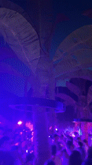 Tropical-themed night party lights up Sozopol