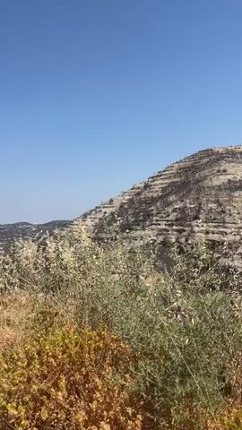 A video shows a hillside with terraced fields under a clear blue sky. The fields appear to have been recently burned, with blackened vegetation visible on the slopes. In the foreground, dry grasses and scrubby bushes are abundant, with a few green plants mixed in. The overall impression is one of arid, possibly post-fire landscape.