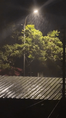 Heavy rain falls during nighttime hours near illuminated tree