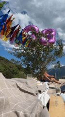 Sunny outdoor scene with blanket-covered lounger near olive tree documented