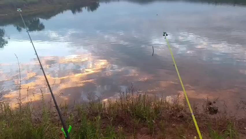 The video captures a serene scene at a lake during either sunrise or sunset. Two fishing rods are prominently positioned in the foreground, planted in the grassy bank. The lake itself reflects the sky, which is filled with dramatic clouds tinged with orange and yellow hues, suggesting warm, ambient light. The surrounding environment appears natural and undeveloped, with trees and vegetation lining the distant shore. The overall impression is one of peaceful solitude and the beauty of nature.