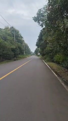 The video shows a straight, asphalt road with a yellow line dividing the lanes. Trees and vegetation line both sides of the road. The sky is overcast. The camera is moving forward, suggesting the video was taken from a vehicle or while walking. There are no people or other vehicles visible in the frame.