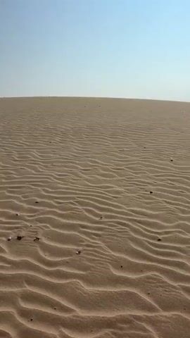 The video depicts a thrilling ride through expansive sand dunes in Phuoc Dinh, Vietnam, under a clear, bright blue sky.

The initial frames showcase the vast, undulating desert landscape, characterized by distinct ripple patterns formed by the wind on the sandy surface. The horizon in the distance reveals faint outlines of mountains and sparse vegetation, suggesting the edge of the desert meeting other terrain.

The perspective then shifts to inside a moving vehicle, possibly an off-road jeep or dune buggy. A side mirror reflects a passenger, presumably male, wearing sunglasses and a white hoodie, actively capturing the scenery with a smartphone. Another passenger is partially visible behind them.

The final shot is from the driver's perspective, looking out over the white hood of the vehicle as it navigates the sandy terrain. Tire tracks are visible on the dunes, indicating the vehicle's movement. The overall atmosphere suggests a sunny day and an adventurous experience traversing the desert landscape. No visible text is present in the video.
