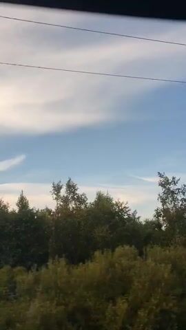 The video shows a view from a moving vehicle, likely a train, looking out at a line of trees against a blue sky with wispy clouds. Overhead, two thin wires are visible, suggesting the presence of an electric power line. The trees are lush and green, with some variations in height and density, indicating a natural, possibly wooded, environment. The lighting suggests it is daytime, possibly late afternoon or early morning, due to the soft quality of the light and the position of the sun, which is not directly visible but illuminates the clouds. The perspective is from a window, and the slight blur suggests movement. No people or specific objects are discernible within the scene other than the natural elements and the overhead wires.