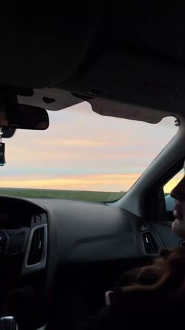 The video captures a view from inside a moving car, likely at sunrise or sunset, given the sky's soft pink, orange, and yellow hues with horizontal clouds.

The initial shot looks out the front windshield, showcasing the car's dashboard and a vast, flat landscape of green fields under the colorful sky. A heart-shaped ornament hangs from the rearview mirror, and some indistinct text or design is visible on the sun visor.

The scene then shifts to a view out a rear passenger window. Several baby-themed decals are stuck to the window, including a butterfly, a rattle, a bib, a pacifier, and a winged figure resembling a stork or bird. The same flat, green landscape extends to the horizon. A hand is partially visible in the lower right corner, holding an orange object. The setting suggests a rural or agricultural area, consistent with the provided location context of Novodonetskaya, Russia.