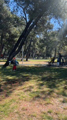 Child plays, basketball game observed in Podgorica park