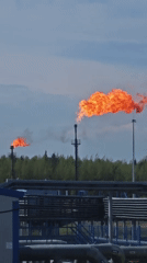 Mixed visual memories: gas flares, sprouting onion, surprised man portraits