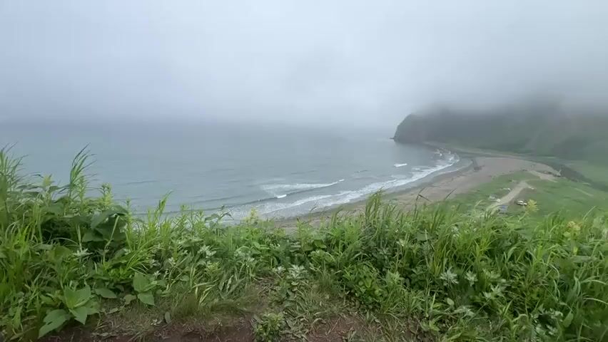 A wide shot captures a misty coastal landscape. In the foreground, lush green grass and some white wildflowers grow on a dirt path. The path leads towards a view overlooking a sandy beach where gentle waves lap the shore. The sea stretches out to the horizon, merging with the overcast sky. To the right, a green hill slopes down towards the beach. The upper part of this hill is obscured by thick fog, with only the lower contours visible. A small inlet or river empties into the sea on the right side of the beach. Further down the beach, some tents and vehicles are visible. The overall atmosphere is calm and serene, with the muted colors and fog contributing to a sense of natural beauty.