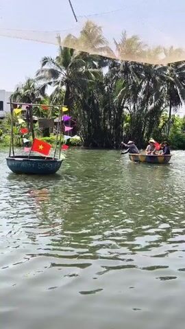 The video shows two traditional round boats moving on a body of water. One boat is decorated with colorful flags and a Vietnamese flag. It appears to be stationary or moving very slowly. The other boat contains at least four people, who are wearing traditional conical hats. One person is using an oar to propel the boat. The environment consists of lush tropical vegetation, including palm trees. A building can be seen in the background. The sky is bright and the water is slightly rippled.